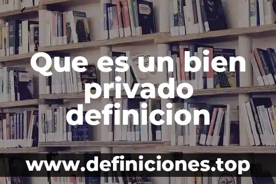 Que es un bien privado definicion