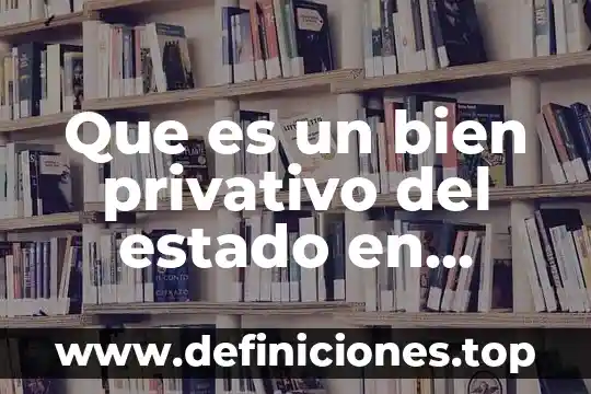 Que es un bien privativo del estado en derecho