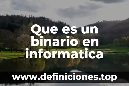 Qué es un hombre trans no binario 8 Que es un binario en informatica