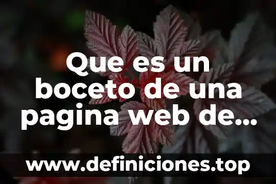 Por que es importante el diseño en un sitio web 3 Que es un boceto de una pagina web de bebidas