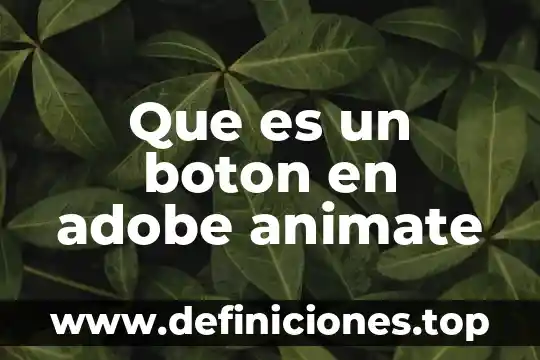 Qué es botón dorado México tiene talento 2019 5 Que es un boton en adobe animate
