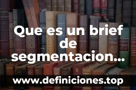 Que es un brief de segmentacion de mercado