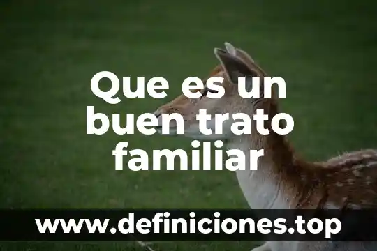 Qué es el buen trato y cómo explicarlo 3 Que es un buen trato familiar