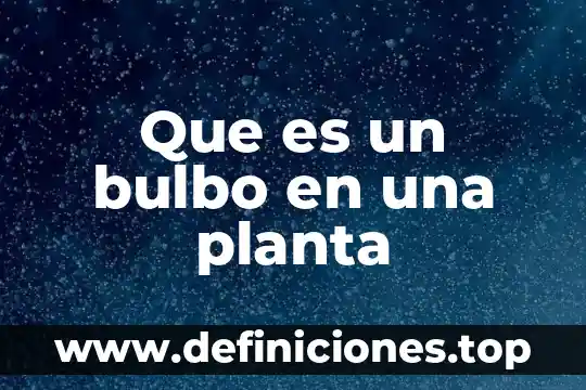 Que es un bulbo en una planta