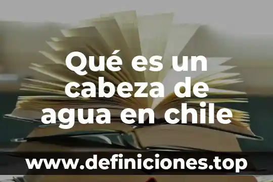 Que es heredar por cabeza estirpe y linea 8 Qué es un cabeza de agua en chile