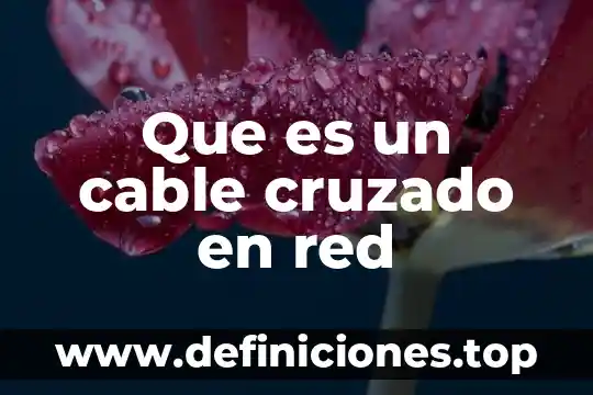 Que es cuenta cable 5 Que es un cable cruzado en red