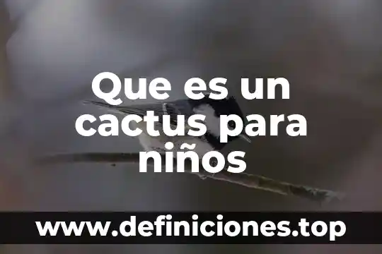 Que es un cactus para niños