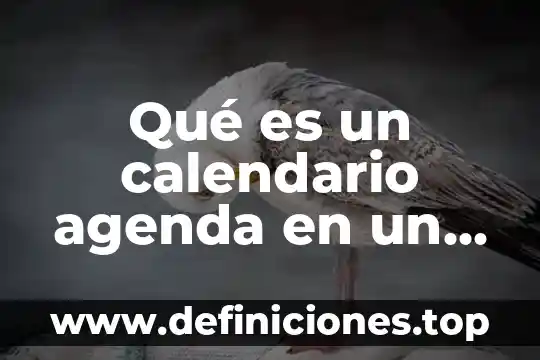 Que es la firma electronica del correo 3 Qué es un calendario agenda en un correo electrónico