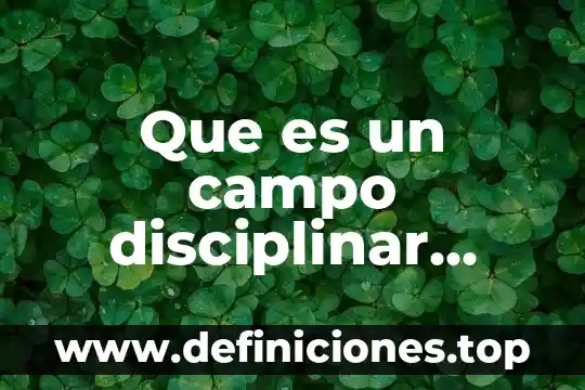 Que es consolidar significado catolico 7 Que es un campo disciplinar administracion