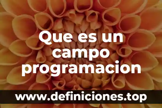 Que es la programación para móviles 5 Que es un campo programacion