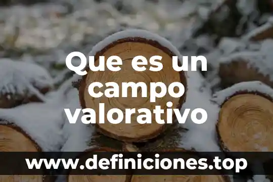 Campo gravitacional que es 5 Que es un campo valorativo