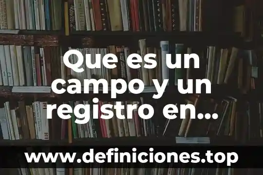 Que es una comando access 4 Que es un campo y un registro en access