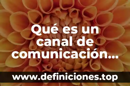 Que es una señal digital en informatica 3 Qué es un canal de comunicación en informática