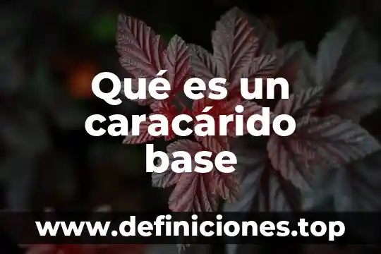 Que es base datos normal 5 Qué es un caracárido base