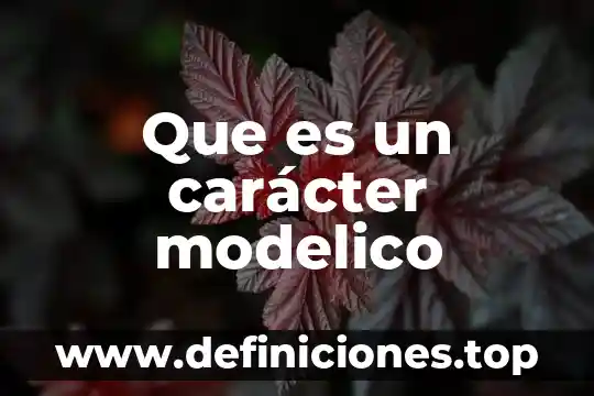 Por que es importamnte el caracter cientifico dela geografia 6 Que es un carácter modelico