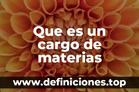Que es materias optativas 6 Que es un cargo de materias