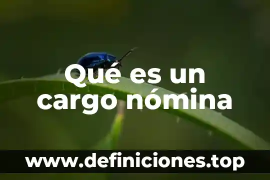 Qué es el isrva cargo 3 Qué es un cargo nómina