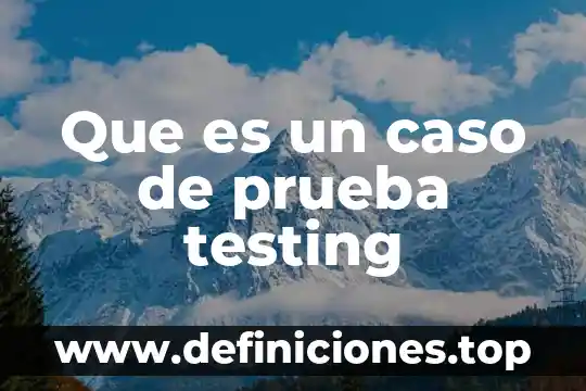 Que es un estandar de prueba 4 Que es un caso de prueba testing