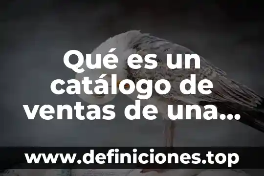 Que es ser distribuidor de ropa de moda por catalogo 4 Qué es un catálogo de ventas de una empresa
