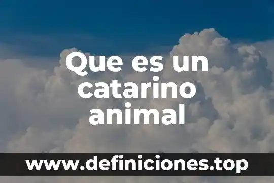 Que es un catarino animal