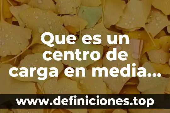 Que es un centro de carga en media tension