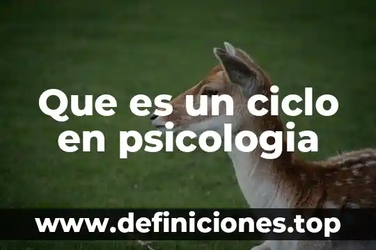 Que es un ciclo en psicologia
