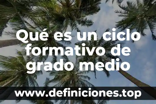 Bpm que es en cuestión de salud 4 Qué es un ciclo formativo de grado medio