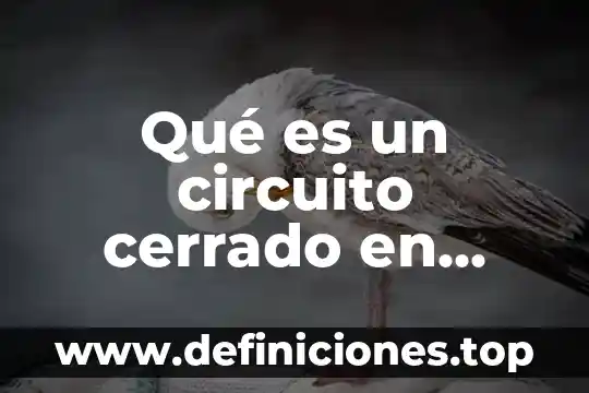 Que es tierra en un circuito electrico 3 Qué es un circuito cerrado en mecánica automotriz
