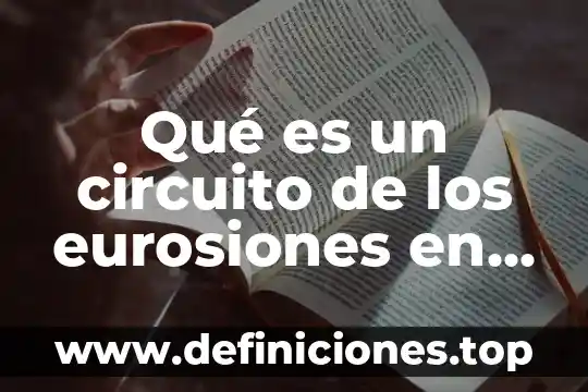 Qué es un circuito de los eurosiones en psicología