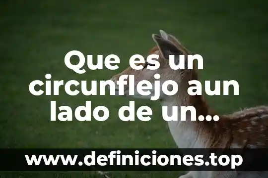Que es un circunflejo aun lado de un numero