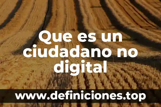 Que es un ciudadano no digital