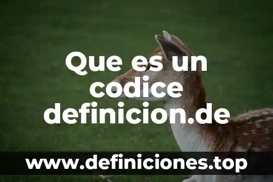 Como le explico a un niño que es un codice 3 Que es un codice definicion.de