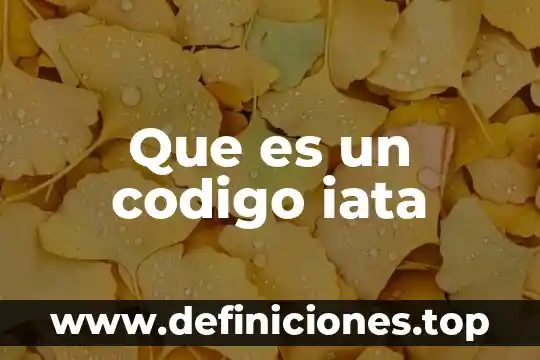Que es el tribunal virtual codigo de procedimientos 6 Que es un codigo iata