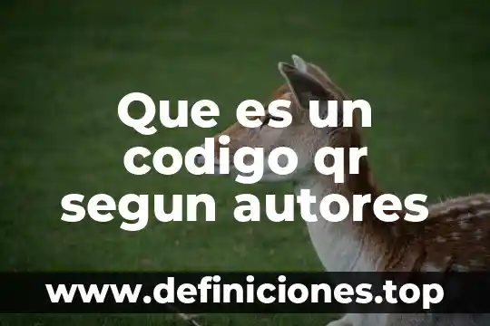 Que es el objeto circunstancial ejemplos 8 Que es un codigo qr segun autores