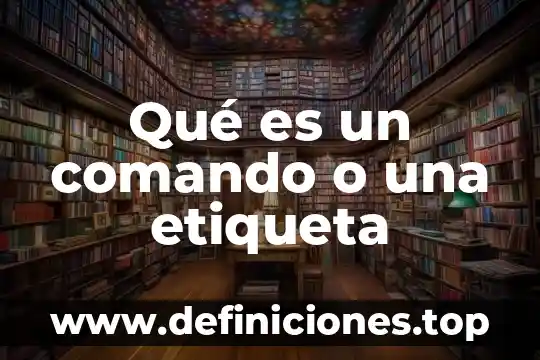 Que es el trafico sin etiqueta en redes 3 Qué es un comando o una etiqueta