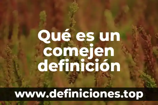 Qué es un comejen definición