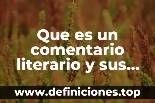 Ubuntu que es y características 6 Que es un comentario literario y sus caracteristicas
