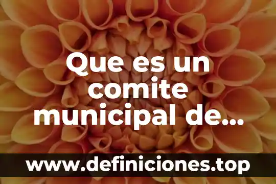 Qué es un comité de bioética y sus funciones 8 Que es un comite municipal de salud
