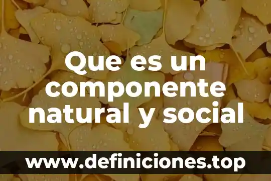 Que es un componente natural y social