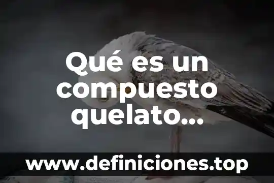 Que es interes compuesto y ejemplos 4 Qué es un compuesto quelato metálico y ejemplos