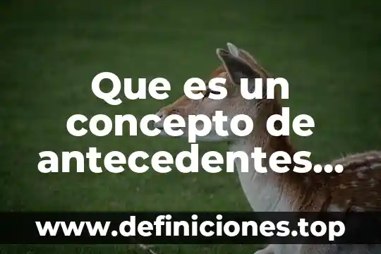 Que es un concepto de antecedentes en un proyecto