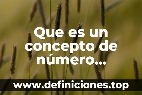 Un dibujo de los novísimos número cuatro que es gloria 5 Que es un concepto de número fraccionario