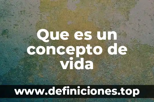 Que es un concepto de vida