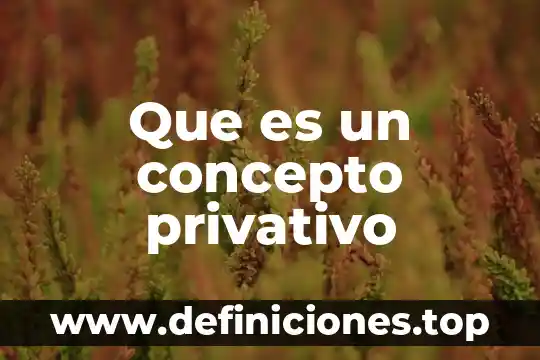 Que es un concepto privativo