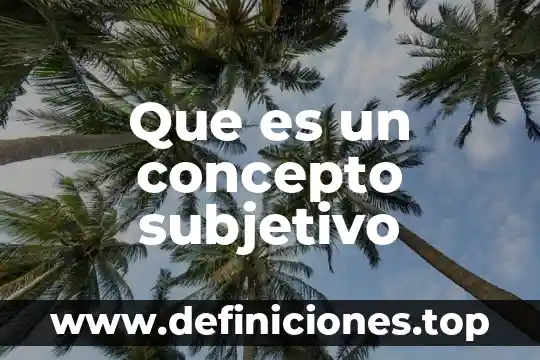 Que es un concepto subjetivo