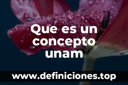 Que es una artista unam 4 Que es un concepto unam