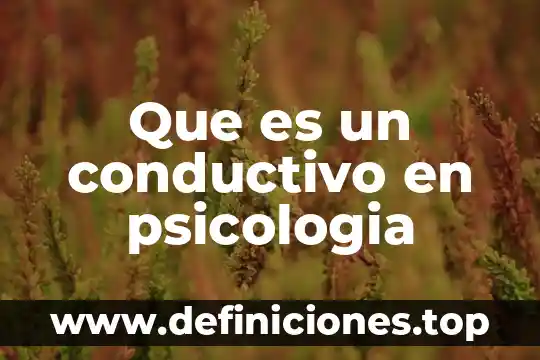 Que es un conductivo en psicologia