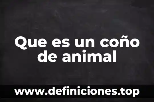 Que es un coño de animal