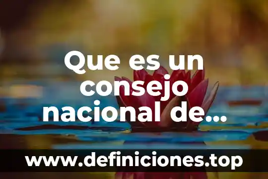 Que es un homenaje de identidad nacional 4 Que es un consejo nacional de turismo