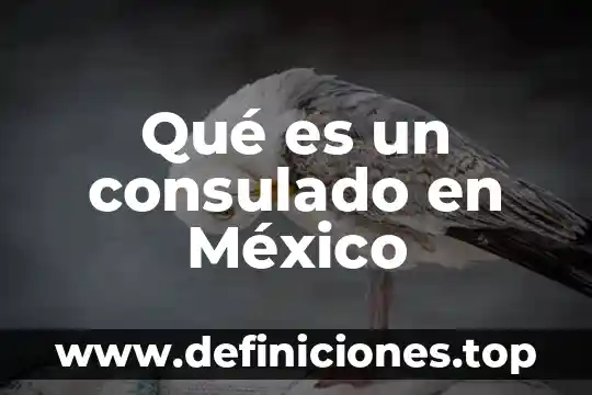 Que es el conaen mexico 6 Qué es un consulado en México